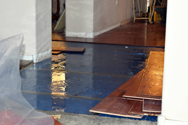 Professional Burst Pipe Cleanup technician working in Bloomsbury, NJ